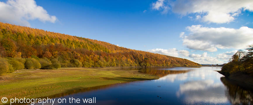 Autumn, Lindley Wood Reservoir, Nr. Otley, Yorkshire. 110cmx46cm