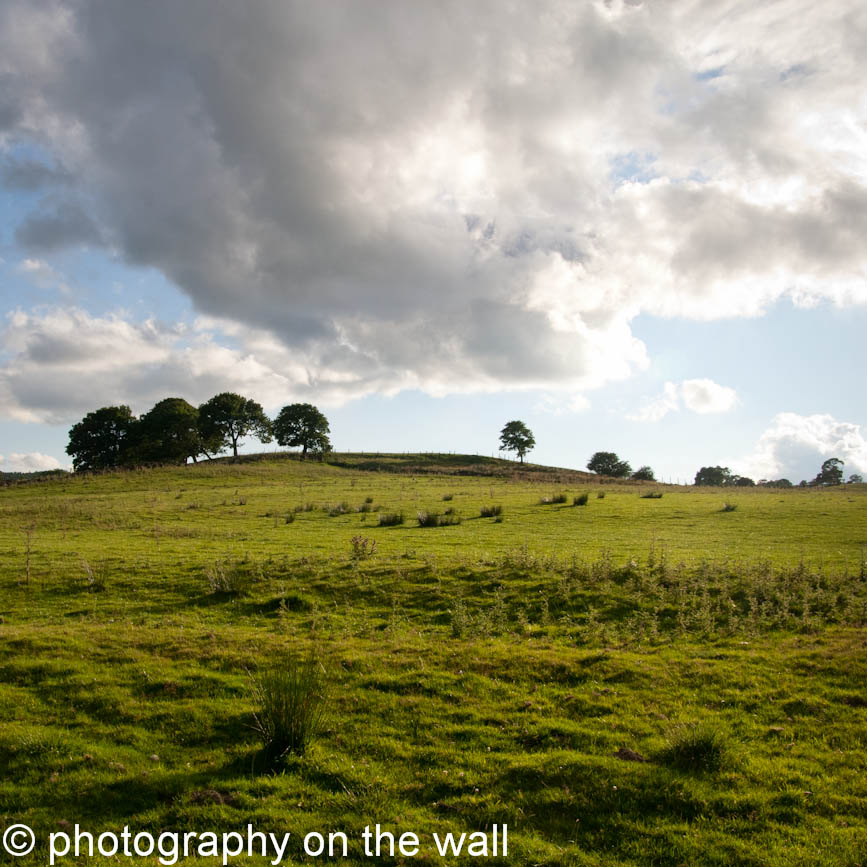 Field at the side of Fewston Reservoir, Yorkshire. 50cmx50cm