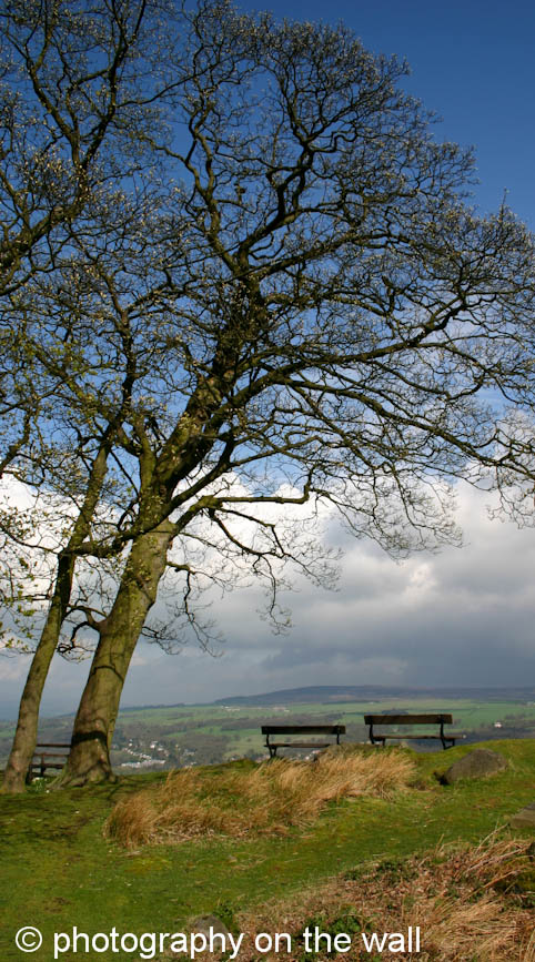 Ilkley Moor, Seats above White Wells, Yorkshire Dales. 50cmx90cm