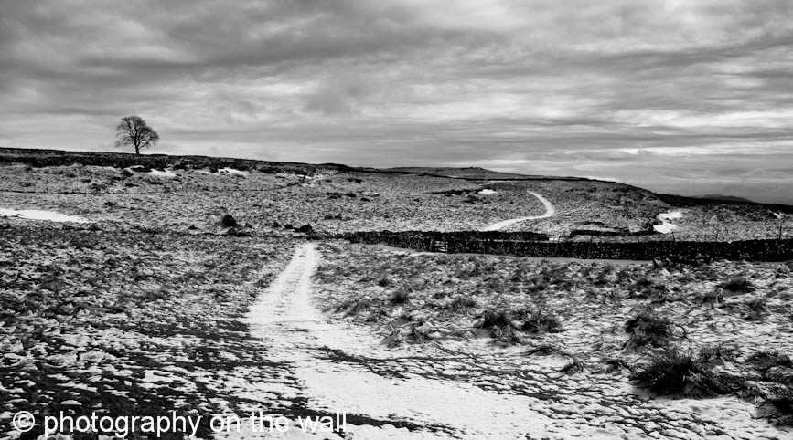 Path to Lone Tree Yorkshire Moors in Winter. 90cmx50cm b/w