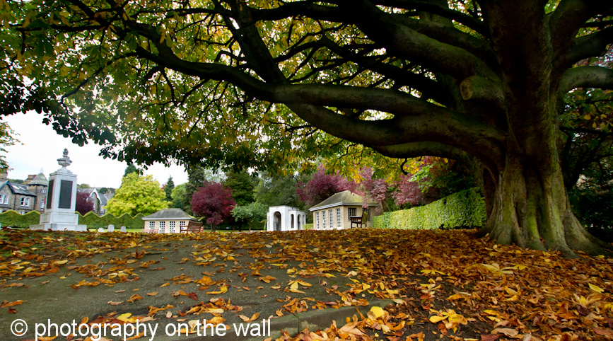 Ilkley, Yorkshire. The Memorial Gardens in Autumn. 90cmx50cm