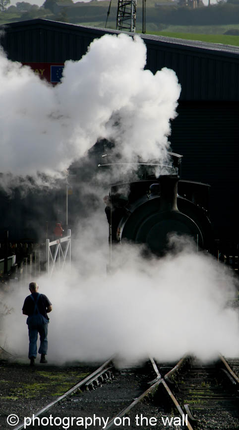 Steam Train at Embsay Station 50cm*90cm