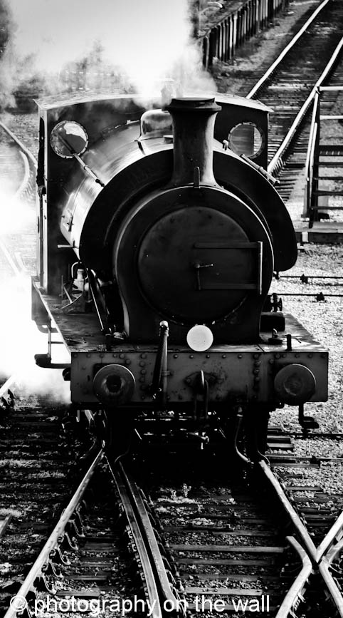 Steam Train at Embsay Station 50cm*90cm